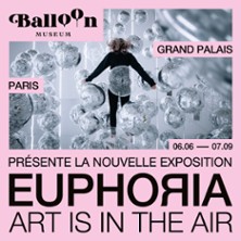 Balloon Museum | Euphoria Art is in the Air