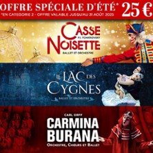 Le Lac des Cygnes – Ballet & Orchestre – Paris & Tournée
