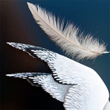 La Mouette – Anton Tchekhov – Le Carré Rond, Marseille