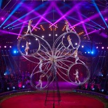 Le Grand Cirque de Noël – Chapiteau le Tigre