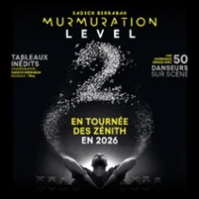 Murmuration Level 2 – Chorégraphié par Sadeck Berrabah