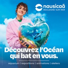 Nausicaá – Centre National de la Mer – Saison
