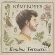 Rémi Boyes – Bombus Terrestris V2 – Le Point Virgule, Paris