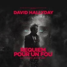 David Hallyday – Requiem pour un Fou