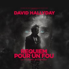 David Hallyday – Requiem pour un Fou