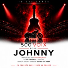 500 Voix Pour Johnny – 10 Ans Après