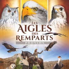 Les Aigles des Remparts – Fauconnerie Equestre