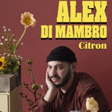 Alex Di Mambro – Théâtre BO Saint-Martin, Paris