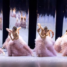 Casse-Noisette – Europa Danse Company