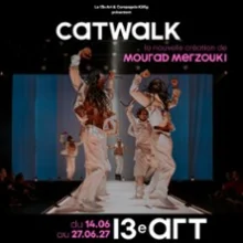 Catwalk – Mourad Merzouki – Le 13ème Art, Paris
