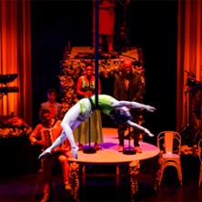 Cirque Alfonse – La Noce d&rsquo;Alfonse