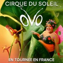Cirque du Soleil – Ovo