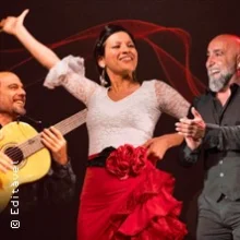 El Aire – Flamenco