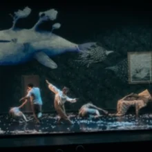 Le MurMure des Songes – Compagnie Accrorap/Kader Attou