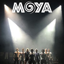 Moya – Zip Zap Circus