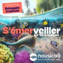 Nausicaá – Centre National de la Mer – Saison