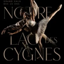 Notre Lac des Cygnes – Théâtre de Caen