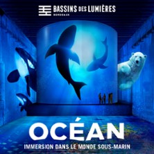 Bassins des Lumières – Expostions Océan + Cube avec Greenpeace