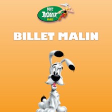 Parc Astérix – Billet Malin