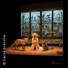 The Animal Room – Athénée – Théâtre Louis-Jouvet, Paris