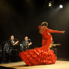 Tierra Viva – Compagnie Flamenco Alborea