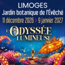 L&rsquo;Odyssée Lumineuse Limoges – Billet Daté