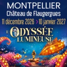 L&rsquo;Odyssée Lumineuse Montpellier – Billet Daté