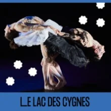 Le Lac des Cygnes – Théâtre des Bergeries, Noisy-le-Sec