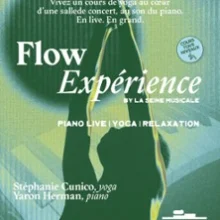 Flow Expérience