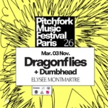 Dragonflies – Pitchfork Paris
